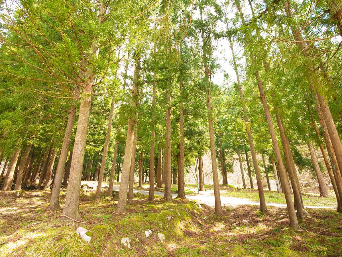 Ono  Hotel Furearu Izumi מראה חיצוני תמונה
